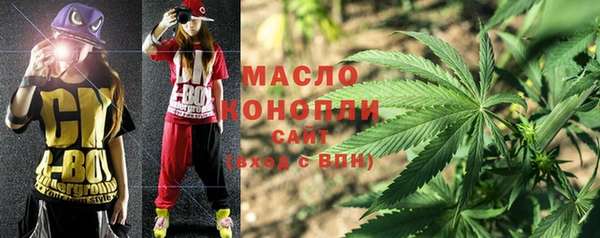 амф Протвино