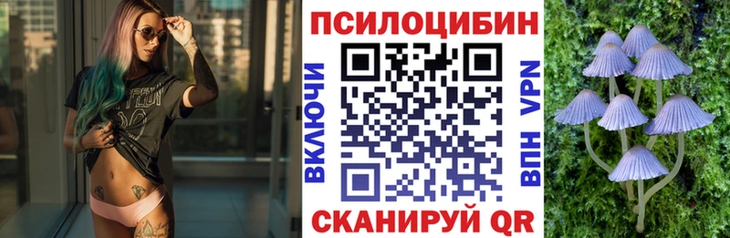 Галлюциногенные грибы Psilocybine cubensis  Купить где  Свободный 